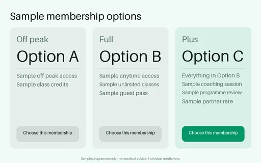 Membership Option Tiers template preview