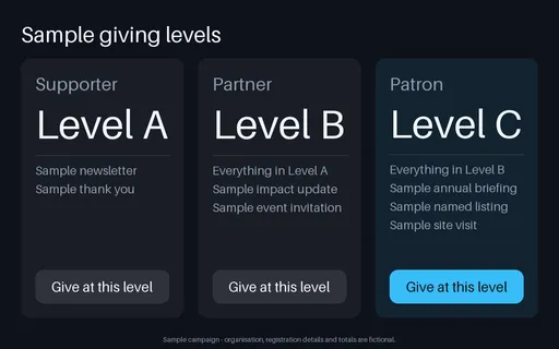 Giving Tier Panel template preview