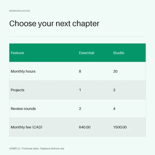 Pricing Plan Graphic template preview
